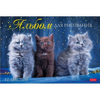 Альбом для рисования 12 л. А4 Мы любим котиков 12А4В Hatber