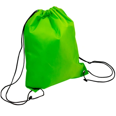 Мешок для обуви 34х42 см зеленый 141V-380