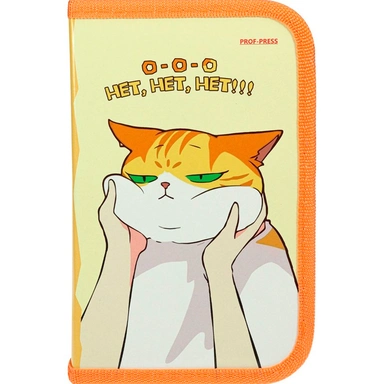 Пенал 1-секц, большой с отк.планкой НЕДОВОЛЬНЫЙ КОТ 190х115 ПН-2065