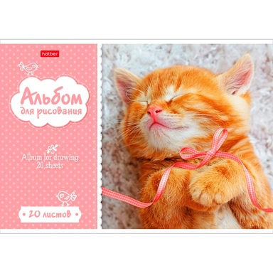Альбом для рисования. 20 л. А4 Котята 004023 Hatber