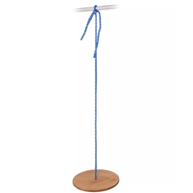 Тарзанка UFO диаметр 30 см., верёвка 2,7 м. 962274